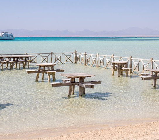 Enjoy an Unforgettable Trip to Orange Bay!