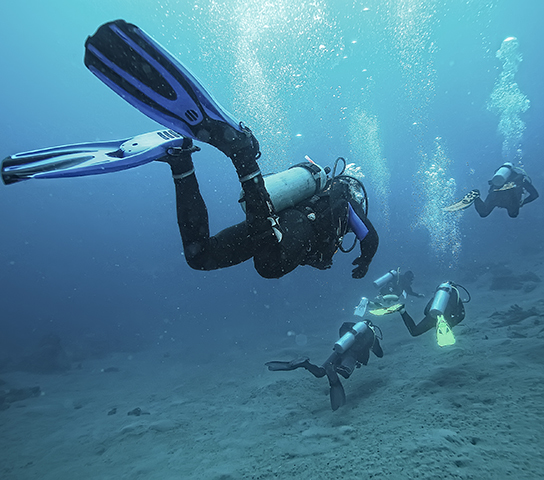 Red Sea Diving Trip: Discover the Beauty of the Depths