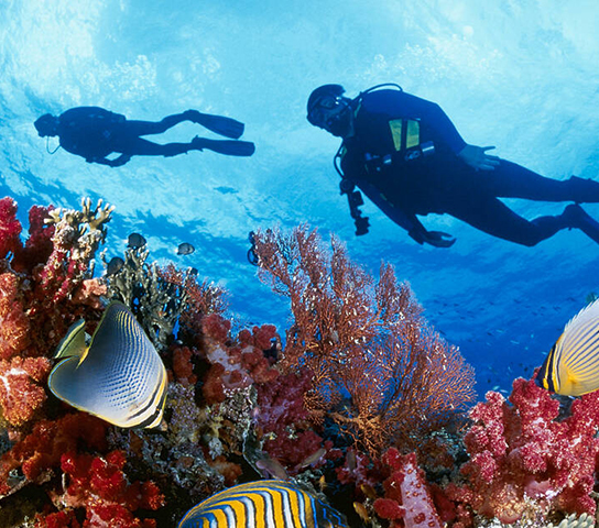 Red Sea Diving Trip: Discover the Beauty of the Depths