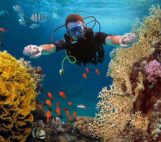 Red Sea Diving Trip: Discover the Beauty of the Depths