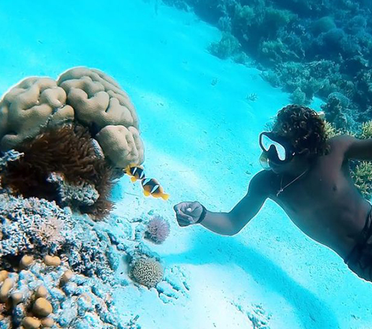 Enjoy an Unforgettable Trip to Orange Bay!