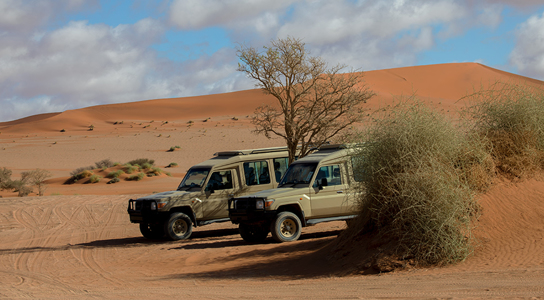 Immerse Yourself in an Egyptian Desert Adventure with a Jeep Safari!