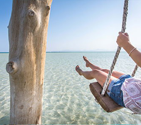 Enjoy an Unforgettable Trip to Orange Bay!