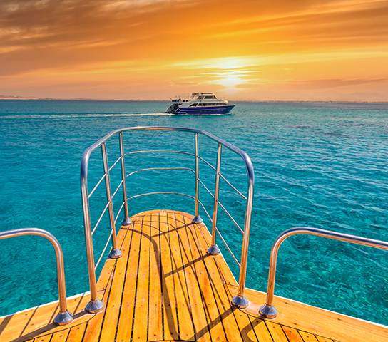 Adventure of Dolphin House