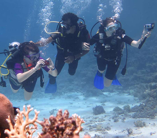 Red Sea Diving Trip: Discover the Beauty of the Depths