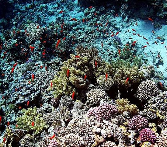 Enjoy an Unforgettable Trip to Orange Bay!